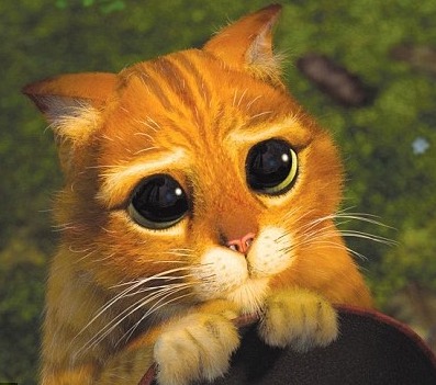 screen-shot-2017-02-19-at-06-25-16