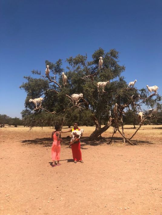 PHOTO-2018-06-01-09-53-15